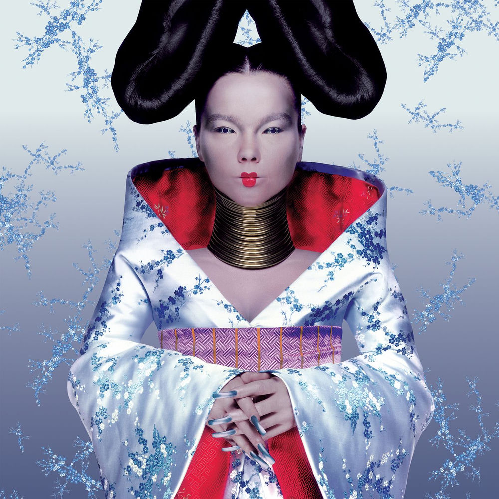 bjork-homogenic