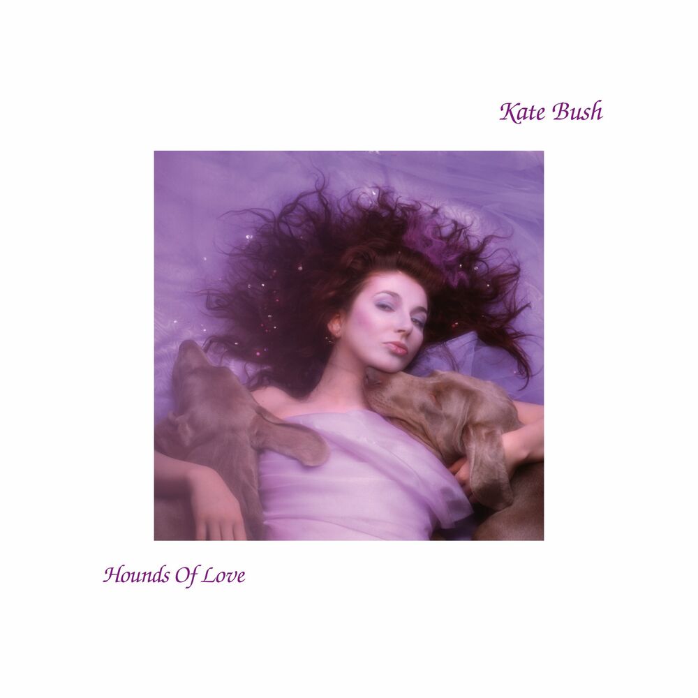 Pochette de Hounds of Love de Kate Bush (1985) : sur fond blanc, une photo mauve où Kate Bush est allongée, cheveux étalés dans le tulle, entre deux chiens qui posent la tête contre elle