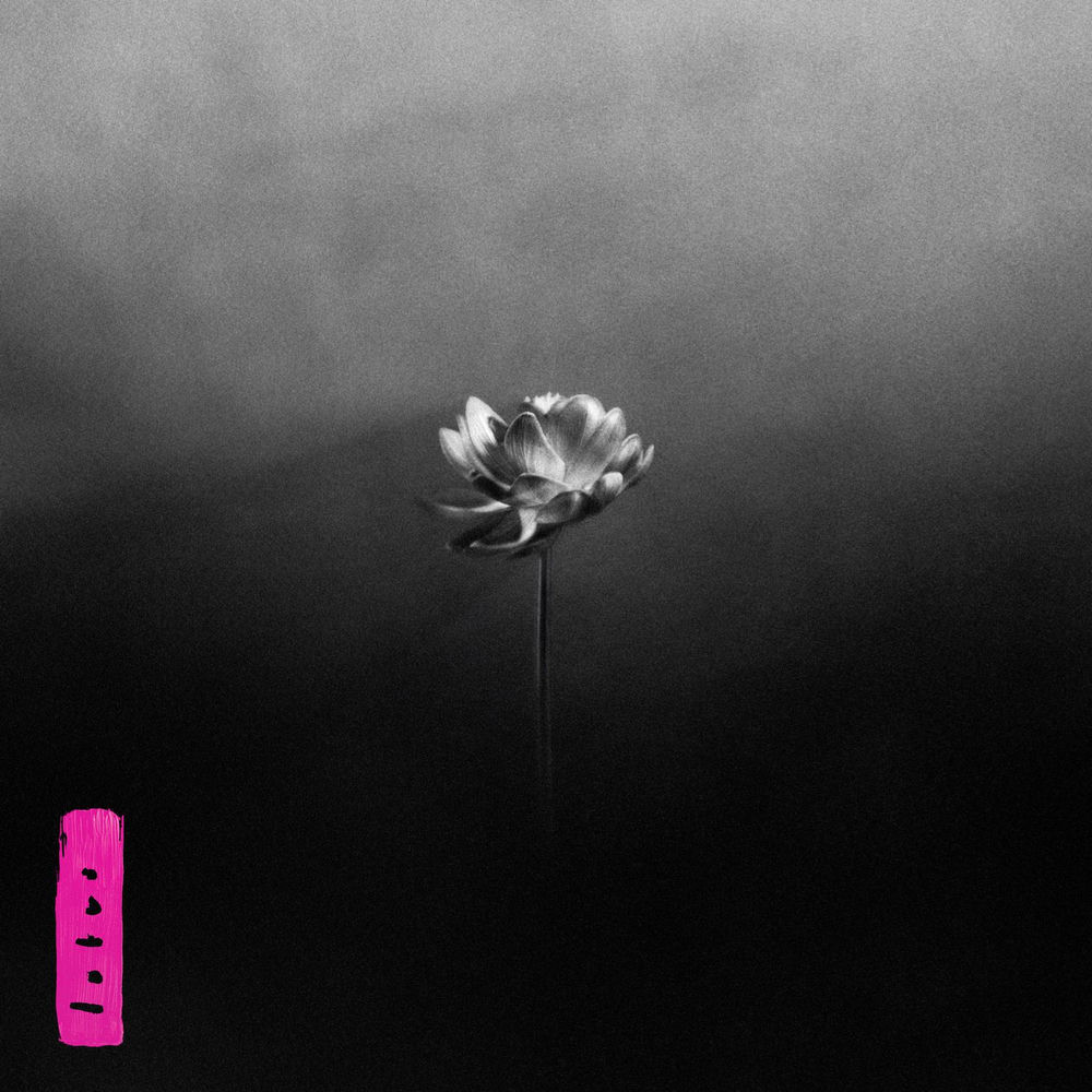 little-simz-lotus